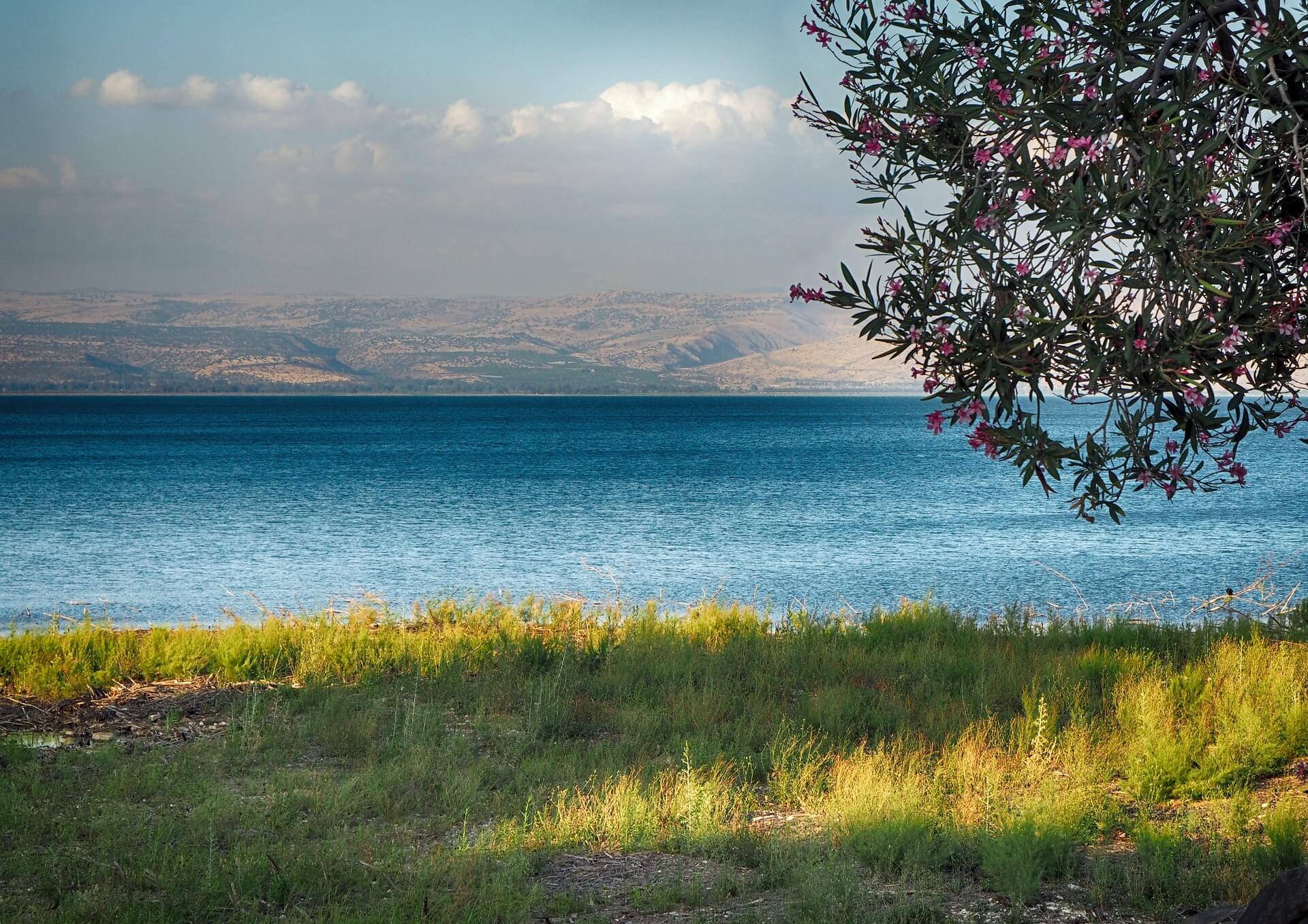 כינרת טבריה sea of gallile