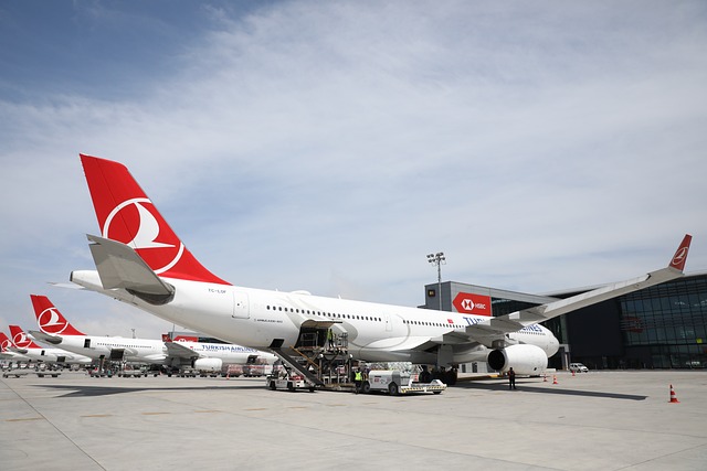 טורקיש איירליינס (Turkish Airlines)