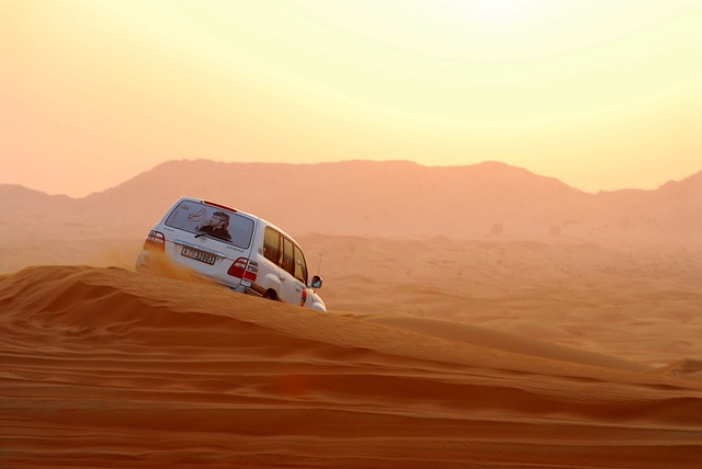 desert-84417_640